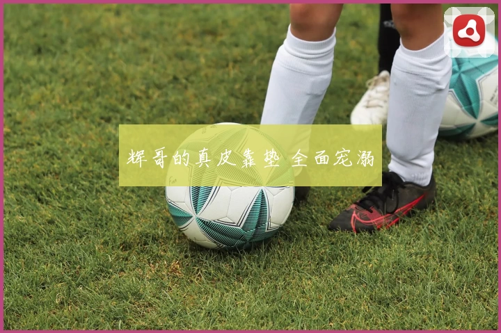 辉哥的真皮靠垫 全面宠溺