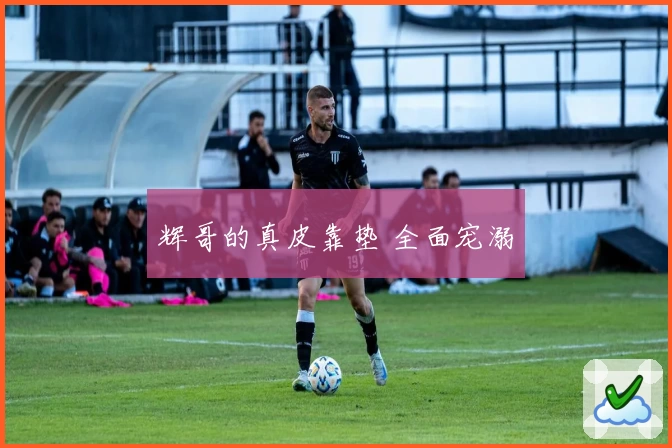 辉哥的真皮靠垫 全面宠溺